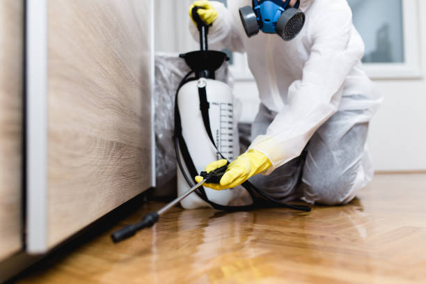 Best Rat Extermination Near Me  in Moodus, CT