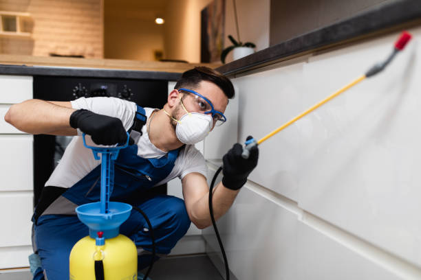 Best Pest Control for Businesses  in Moodus, CT