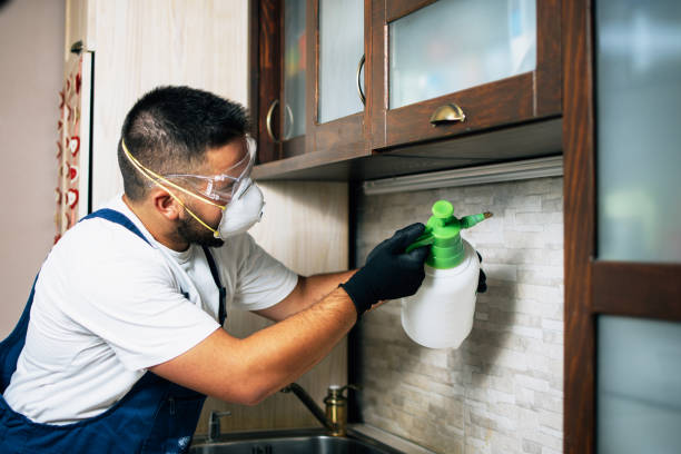 Best Exterminator Services  in Moodus, CT