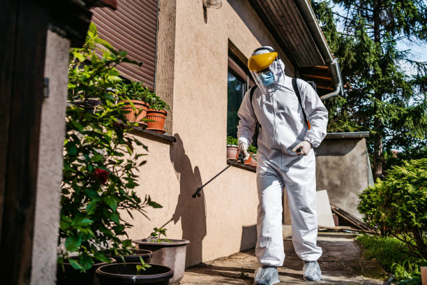 Best Affordable Pest Control Services  in Moodus, CT