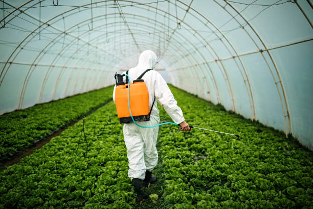 Best Affordable Pest Control Services  in Moodus, CT