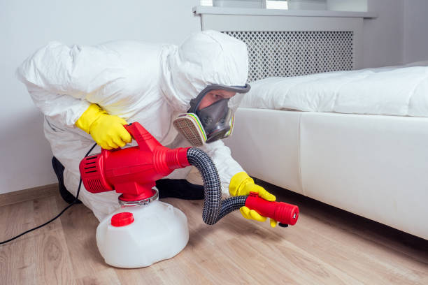 Trusted Moodus, CT Pest Control Experts