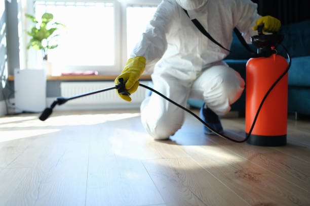 Best Termite Control Services  in Moodus, CT